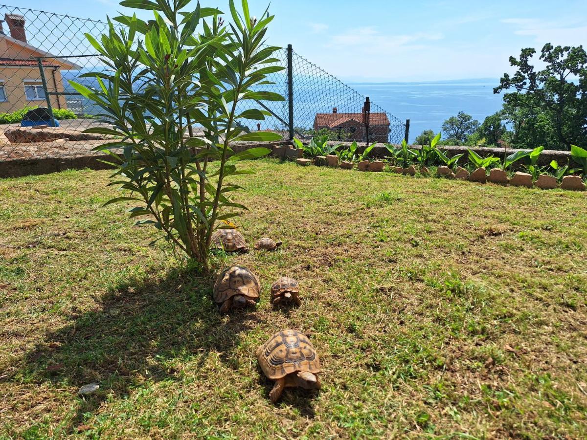 Apartmani Marini Opatija Exteriör bild